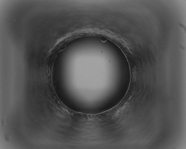 X0000091701494200709071337