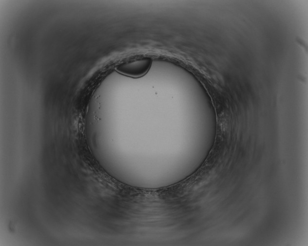 X0000091701495200709071337