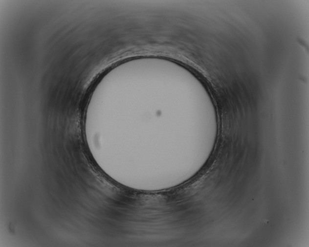 X0000091701498200709071337