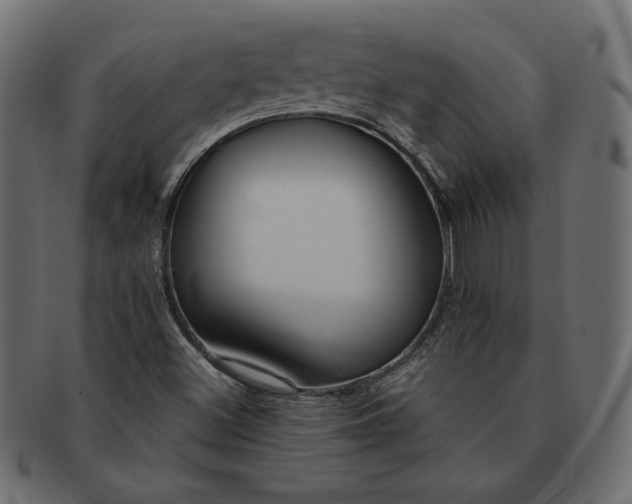 X0000091701500200709071337