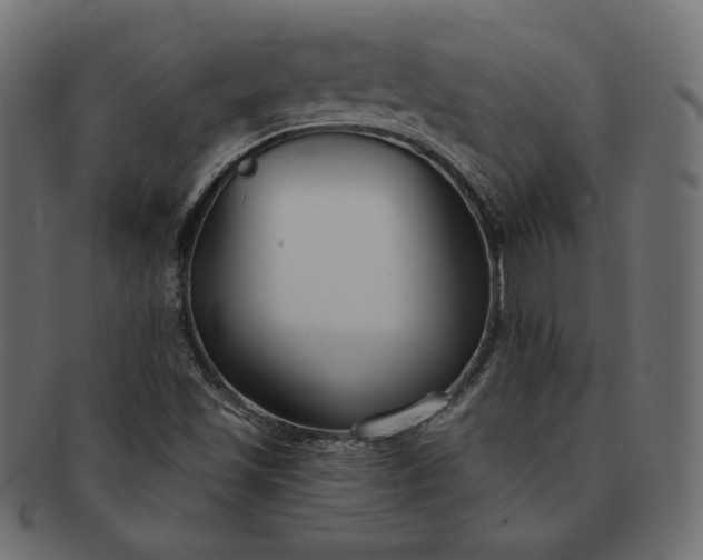 X0000091701501200709071337