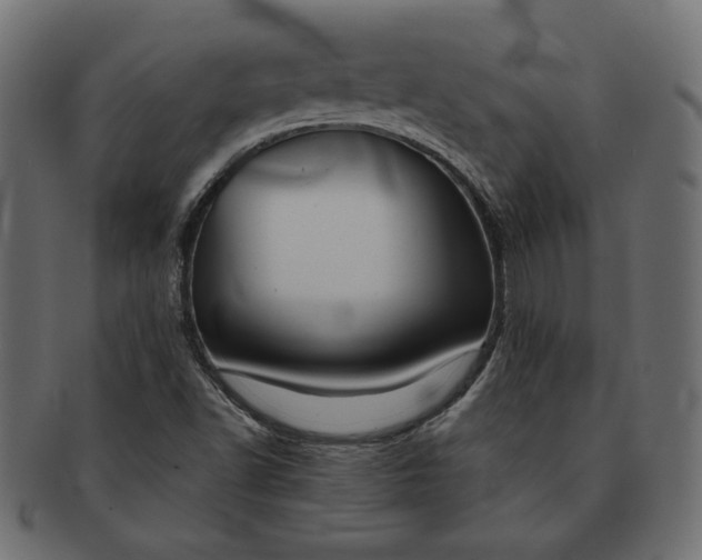 X0000091701502200709071337