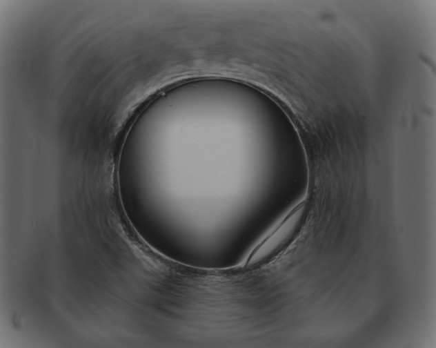 X0000091701507200709071337