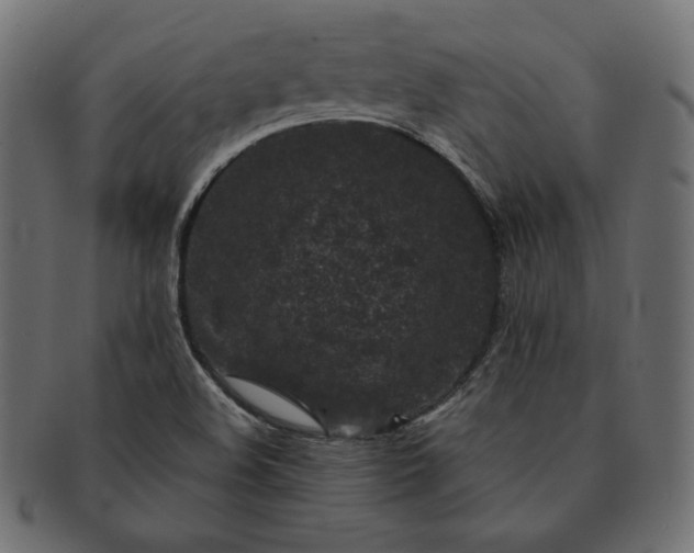 X0000091701508200709071337