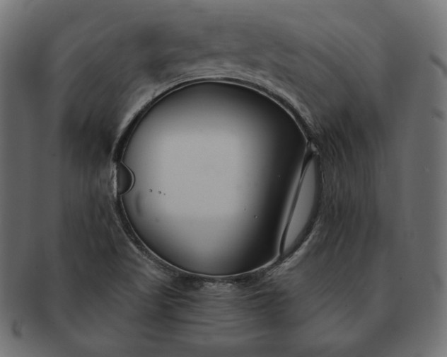 X0000091701509200709071337