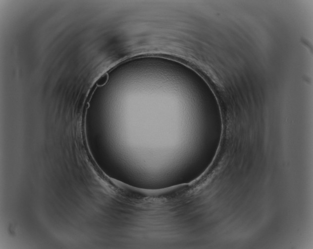 X0000091701513200709071337