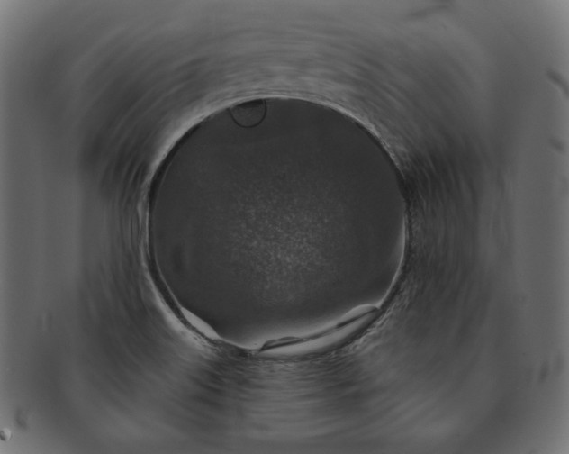 X0000091701515200709071337