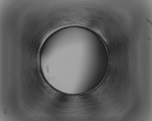 X0000091701516200709071337