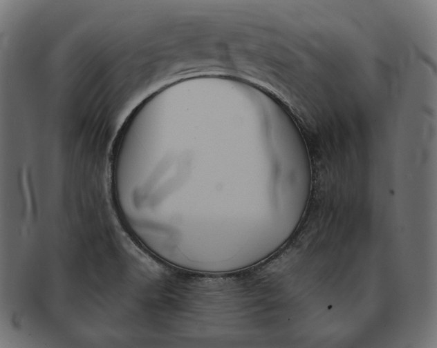 X0000091701518200709071337