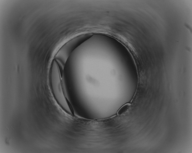 X0000091701520200709071337