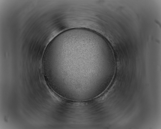 X0000091701521200709071337