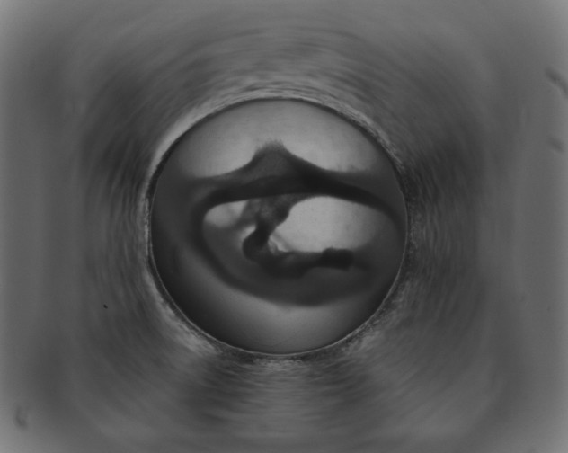 X0000091701522200709071337