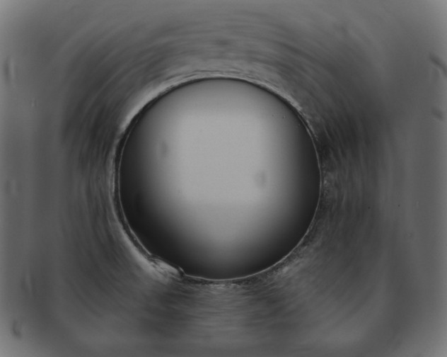 X0000091701523200709071337