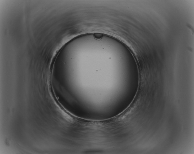 X0000091701525200709071337