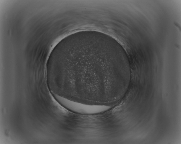 X0000091701527200709071337