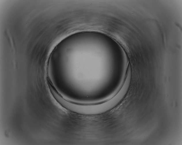 X0000091701528200709071337