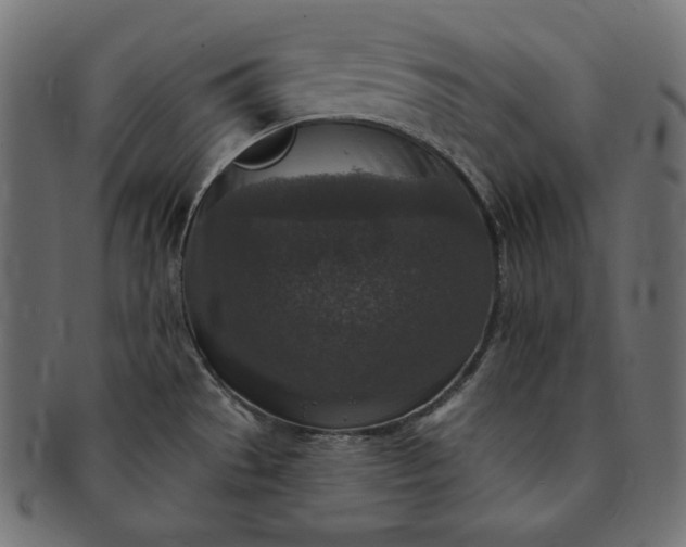 X0000091701529200709071337