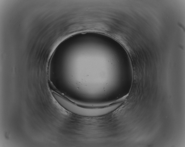 X0000091701532200709071337