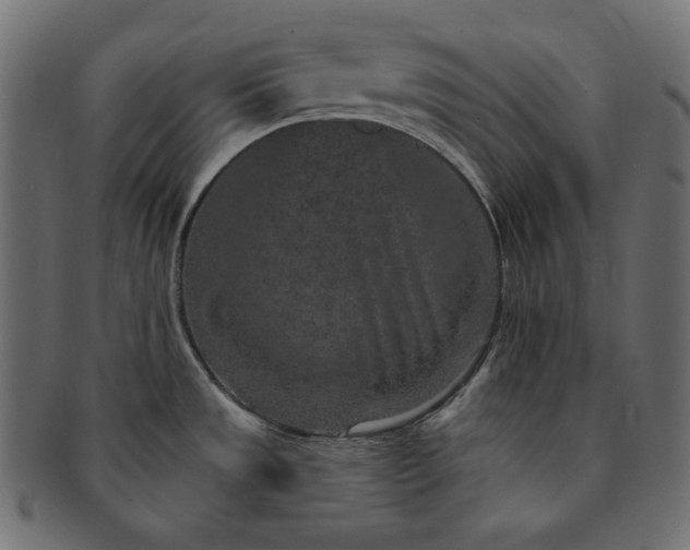 X0000091701533200709071337