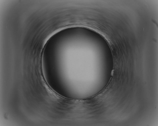 X0000091701534200709071337