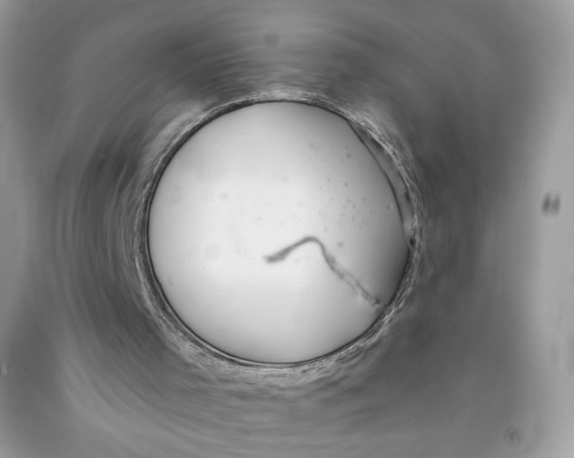 X0000091700001200709141109