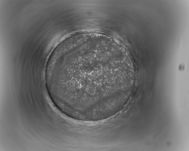 X0000091700002200709141109