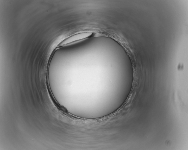 X0000091700003200709141109