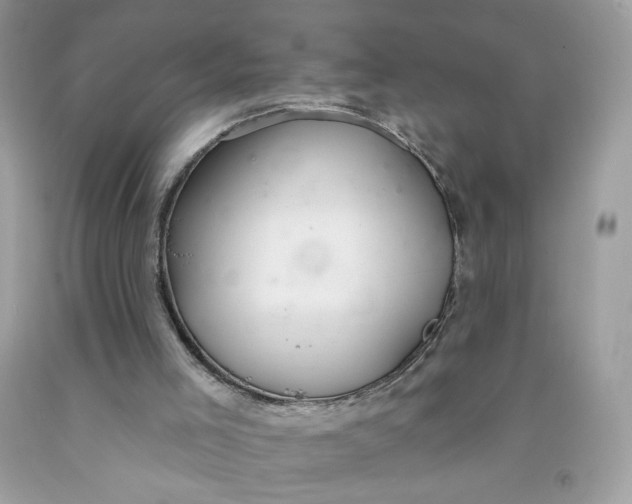 X0000091700005200709141109