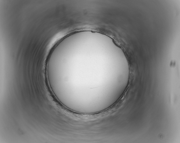 X0000091700006200709141109