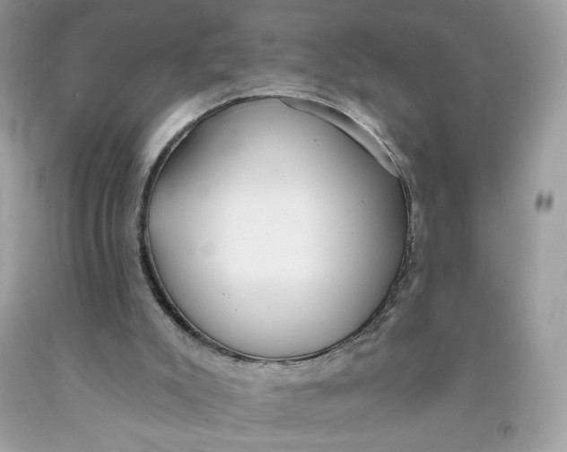 X0000091700007200709141109