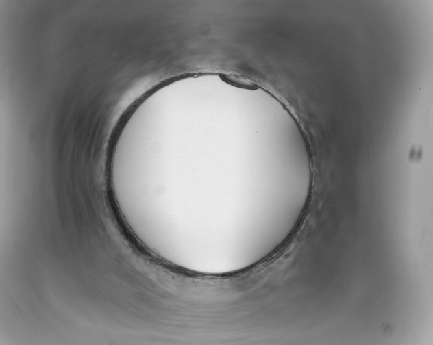 X0000091700008200709141109