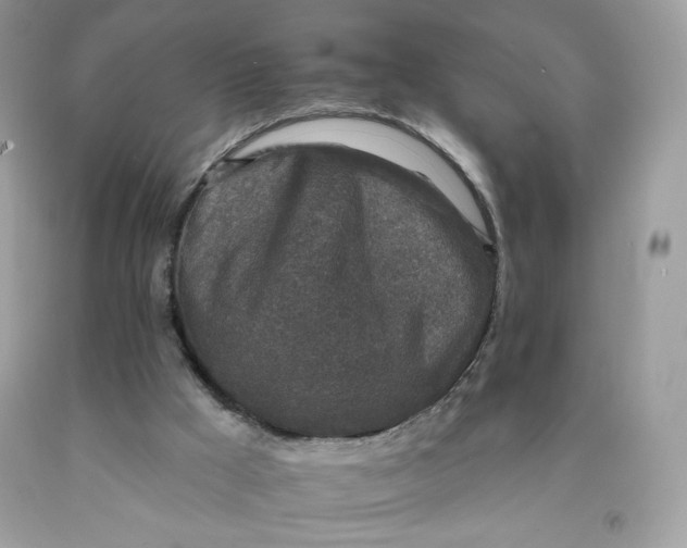 X0000091700009200709141109