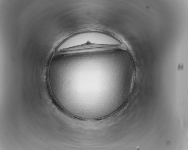 X0000091700010200709141109