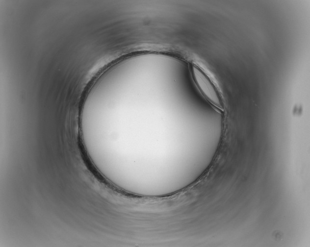 X0000091700011200709141109