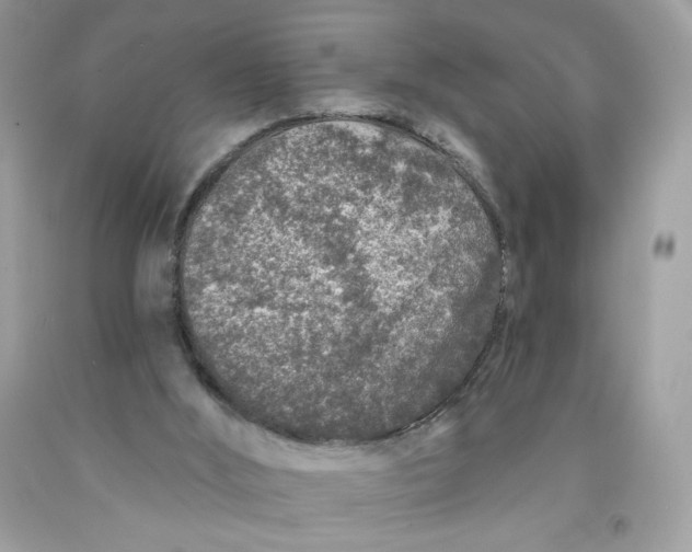 X0000091700012200709141109