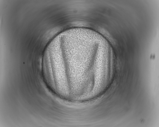 X0000091700014200709141109