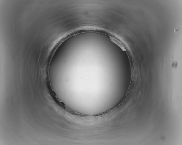 X0000091700015200709141109