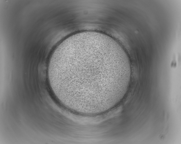 X0000091700016200709141109