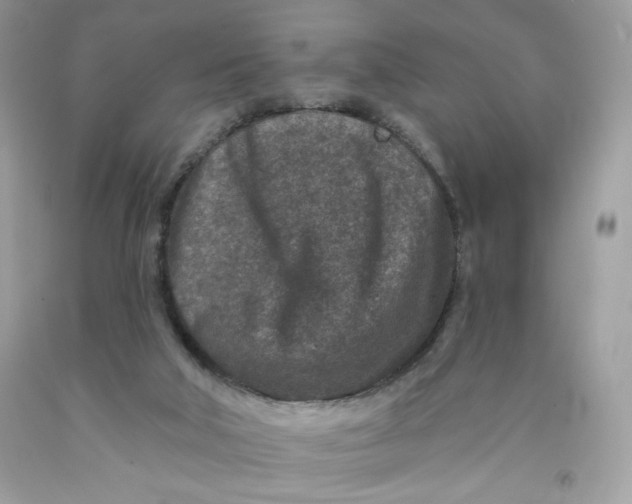 X0000091700018200709141109