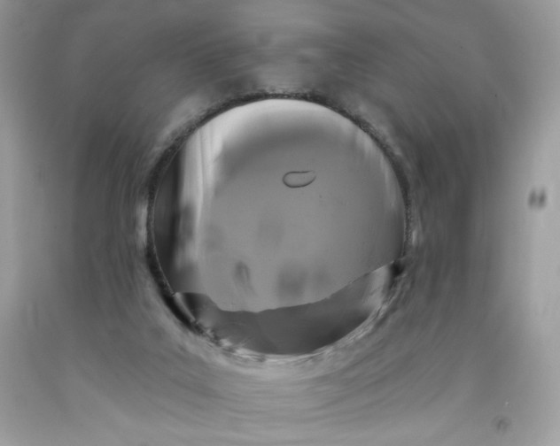 X0000091700019200709141109