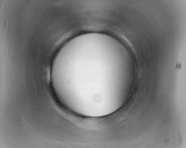 X0000091700020200709141109