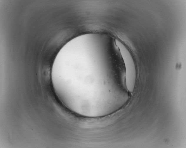 X0000091700021200709141109