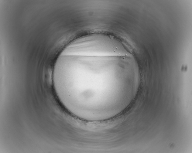 X0000091700022200709141109