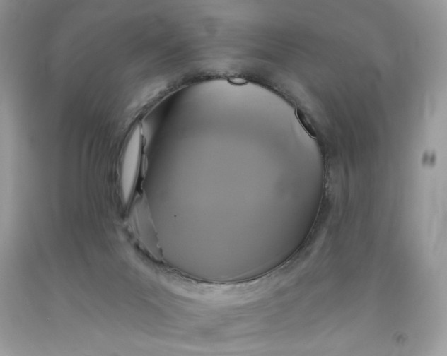 X0000091700023200709141109