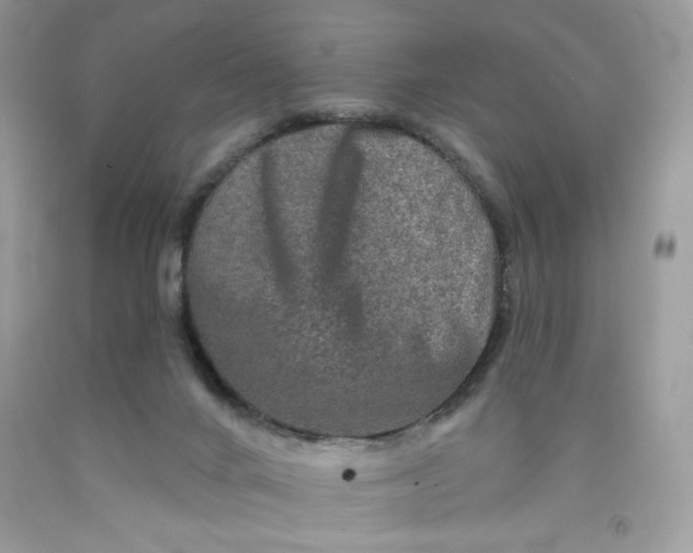 X0000091700024200709141108