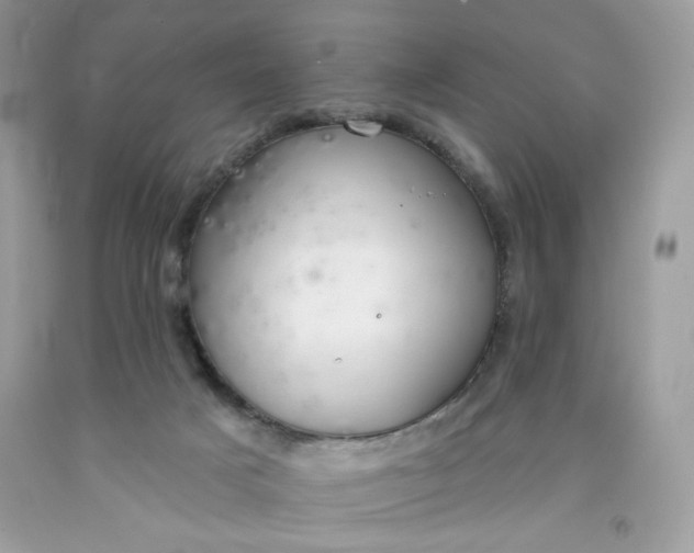 X0000091700025200709141108