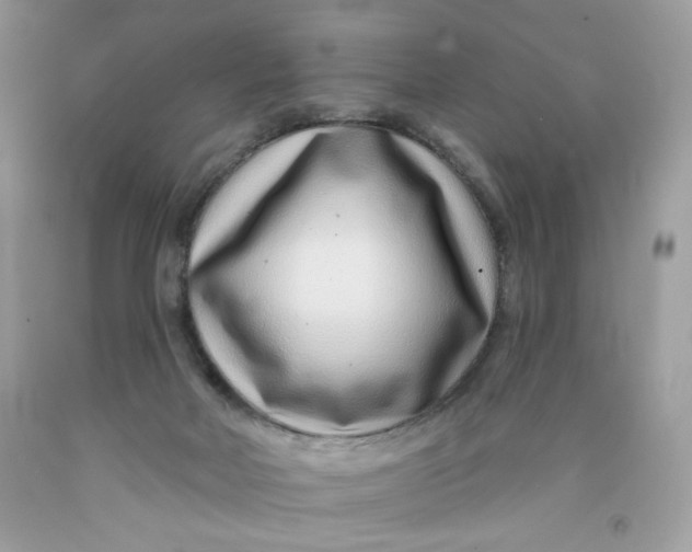 X0000091700026200709141108