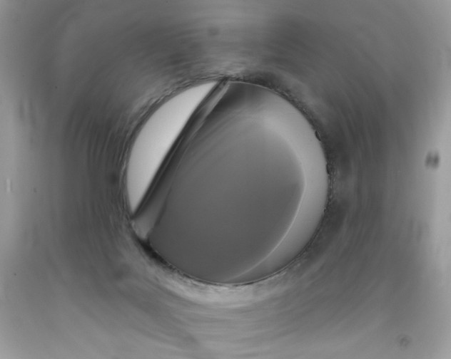 X0000091700027200709141108