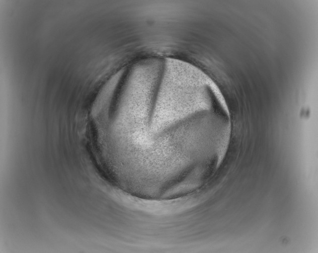 X0000091700030200709141108