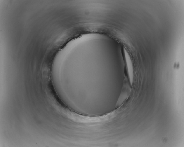 X0000091700031200709141108